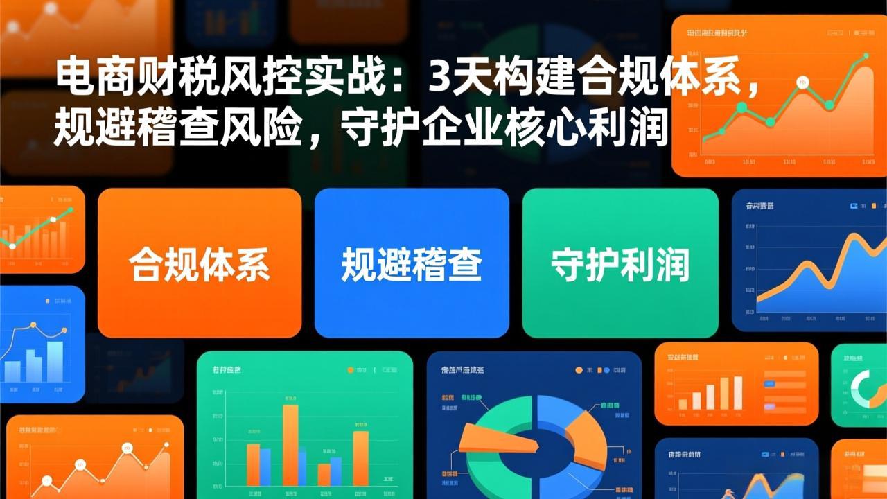 电商财税风控实战：3天构建合规体系，规避稽查风险，守护企业核心利润-DE云网创