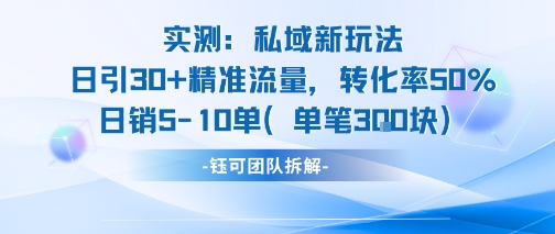 实测私域新玩法日引30加精准流量转化率50%日销5-10单每笔3张-DE云网创