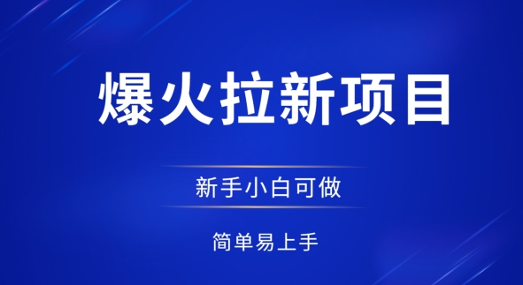 爆火拉新项目，有手就行，小白轻松入门，日入1张拉新整套流程-DE云网创