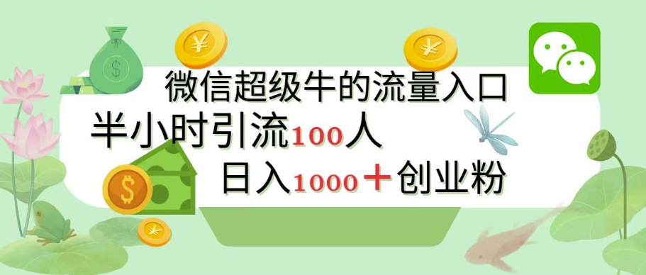 新的引流变现阵地，微信超级牛的流量入口，半小时引流100人，日入1000+创业粉-DE云网创
