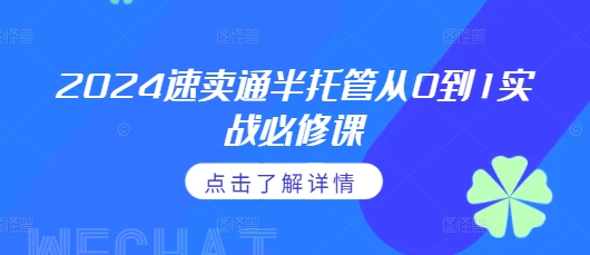 2024速卖通半托管从0到1实战必修课，掌握通投广告打法、熟悉速卖通半托管的政策细节-DE云网创