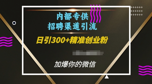 内部招聘渠道日引流300+创业粉，加爆你的微信【揭秘】-DE云网创