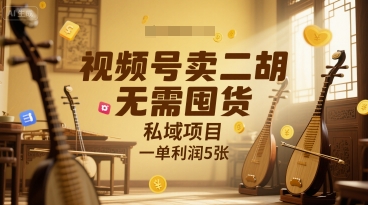 视频号卖二胡，无需囤货，私域项目，一单利润5张-DE云网创