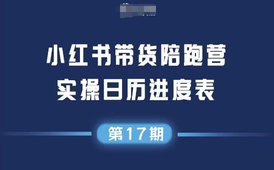 小红书第17期带货陪跑营，不囤货，无不直播，无不投流，通过选品+笔记内容+测品+笔记铺量+矩阵运营打爆款-DE云网创