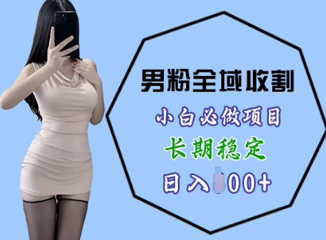 男粉项目全域收割，小白必做项目，长期稳定，稳定日入几张-DE云网创