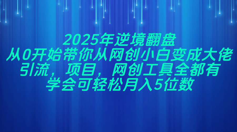 （14473期）2025年逆境翻盘，从0开始带你从网创小白变成大佬，引流，项目，网创工...-DE云网创