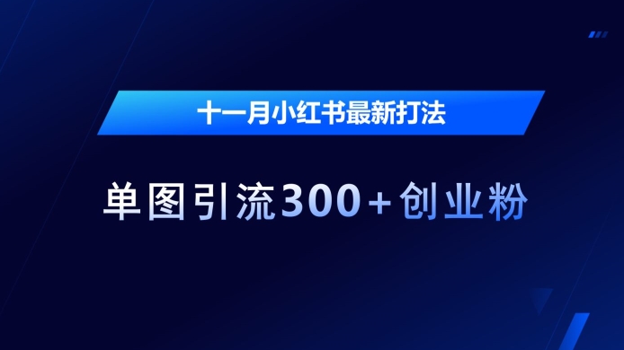 十一月小红书最新打法，单图引流300+创业粉【揭秘】-DE云网创