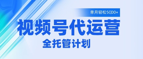 视频号代运营2.0，全程托管招募，单月轻松变现5k【揭秘】-DE云网创