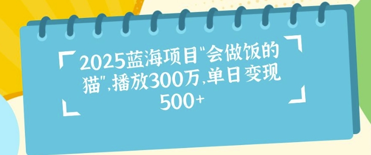 2025蓝海项目“会做饭的猫”，播放300万，单日变现多张-DE云网创