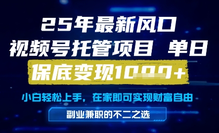 25年最新风口，视频号托管项目，单日保底变现1k+，手把手教学【揭秘】-DE云网创