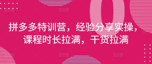 拼多多特训营，经验分享实操，课程时长拉满，干货拉满(更新25年4月)-DE云网创