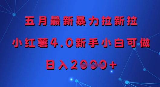 五月最新暴力拉新拉，小红薯4.0新手小白可做，日入多张-DE云网创