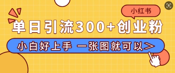 小红书单日引流300+创业粉，“简单粗暴”引流法，小白好上手，私信回不完-DE云网创