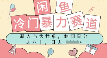 闲鱼冷门暴力赛道，新人当天开单，门槛低，日入多张-DE云网创