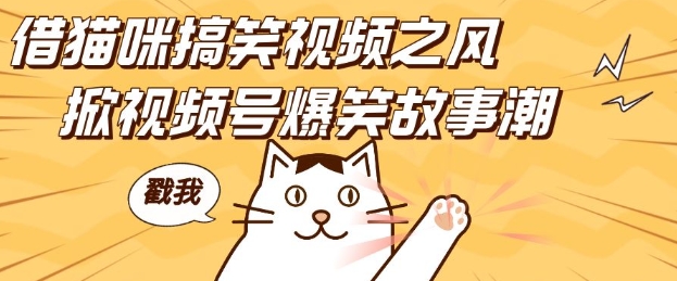 借猫咪搞笑视频之风，掀视频号爆笑故事潮，轻松日入四位数，无门槛快速入门!-DE云网创