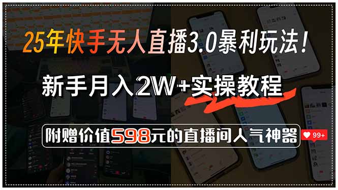（15335期）25年快手无人直播3.0暴利玩法！，新手月入2W+实操教程，附赠价值598元...-DE云网创