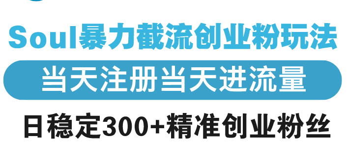 （13935期）Soul暴力截流创业粉玩法，当天注册当天进流量，日稳定300+精准创业粉丝-DE云网创