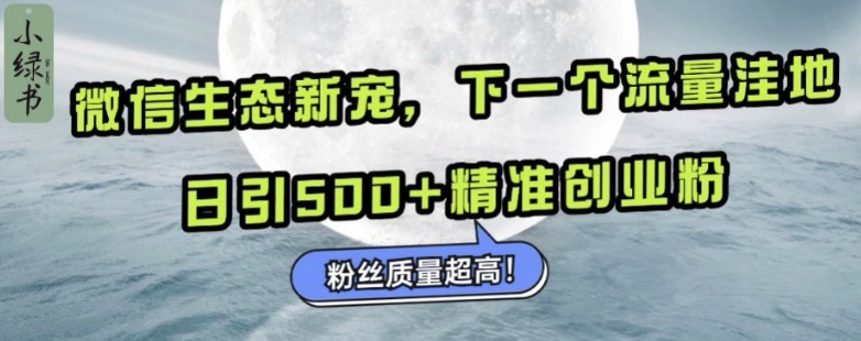 微信生态新宠小绿书：下一个流量洼地，日引500+精准创业粉，粉丝质量超高-DE云网创