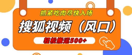 搜狐视频，新风口，1天200-500收益，抓紧吃肉!-DE云网创