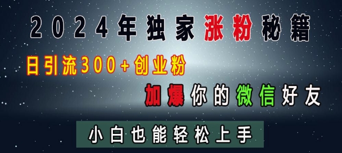 2024年独家涨粉秘籍，日引流300+创业粉，加爆你的微信好友，小白也能轻松上手-DE云网创