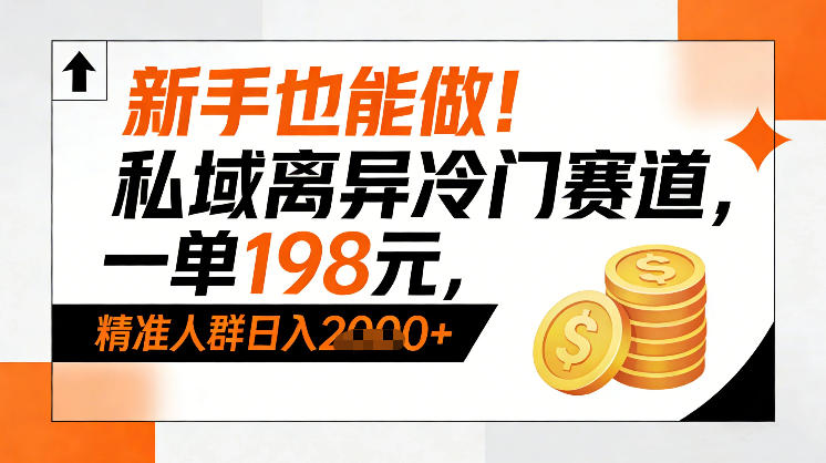 新手也能做！私域离异冷门赛道，一单198，精准人群日入1k+-DE云网创