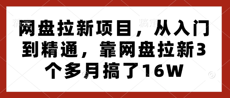 网盘拉新项目，从入门到精通，靠网盘拉新3个多月搞了16W-DE云网创