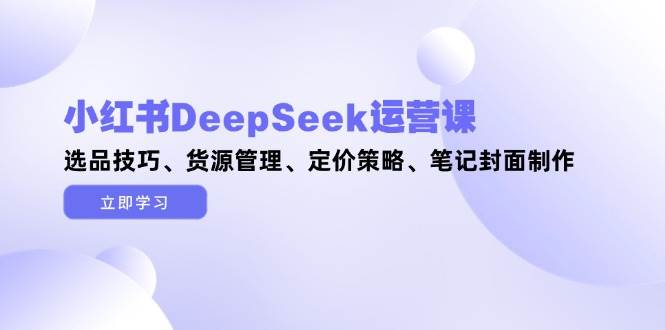 小红书DeepSeek运营课，选品技巧、货源管理、定价策略、笔记封面制作-DE云网创