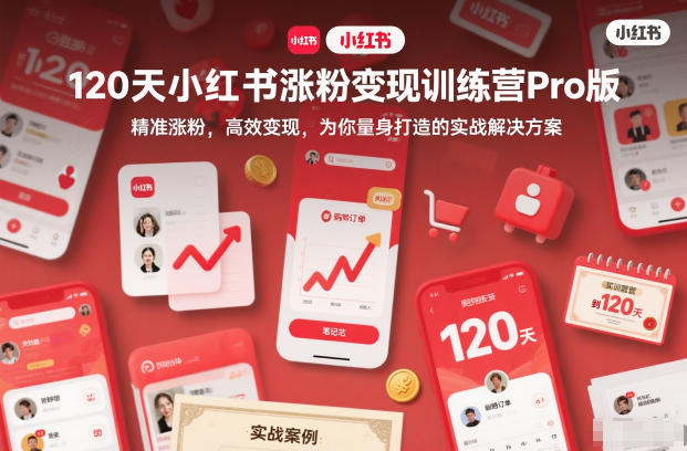 120天小红书涨粉变现训练营Pro版，精准涨粉，高效变现，为你量身打造的实战解决方案-DE云网创