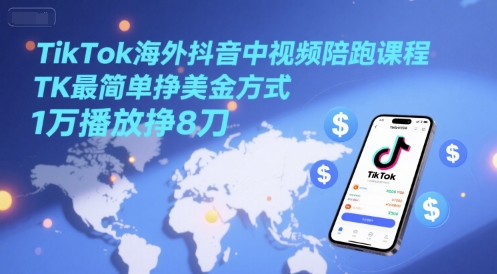 TikTok海外抖音中视频陪跑课程，TK最简单挣美金方式，1万播放挣8刀-DE云网创