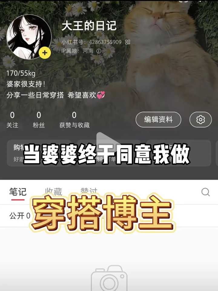 家人们,我该如何涨粉到500?-DE云网创