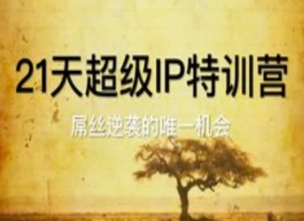 21天超级IP特训营，屌丝逆袭的唯一机会-DE云网创