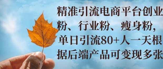 小投资撬动大收益，精准引流创业粉、行业粉，单日引流80+，一天可变现多张-DE云网创