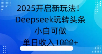 2025开启新玩法！Deepseek玩转头条，小白可做，单日收入几张-DE云网创